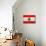 Lebanon Flag Design with Wood Patterning - Flags of the World Series-Philippe Hugonnard-Mounted Art Print displayed on a wall