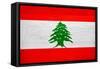 Lebanon Flag Design with Wood Patterning - Flags of the World Series-Philippe Hugonnard-Framed Stretched Canvas