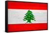 Lebanon Flag Design with Wood Patterning - Flags of the World Series-Philippe Hugonnard-Framed Stretched Canvas