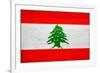 Lebanon Flag Design with Wood Patterning - Flags of the World Series-Philippe Hugonnard-Framed Art Print