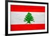 Lebanon Flag Design with Wood Patterning - Flags of the World Series-Philippe Hugonnard-Framed Art Print