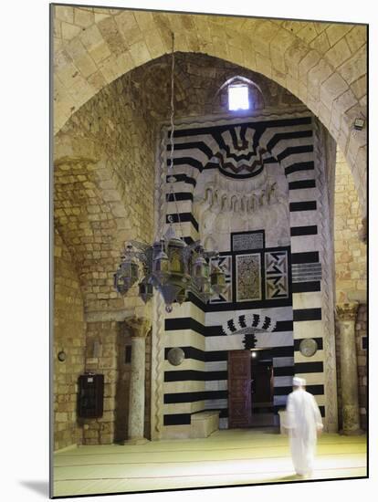 Lebanon, Tripoli, Taynal Mosque, a Former Christian Church-Michele Falzone-Mounted Photographic Print