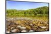 Lebed River at Turochak Russia-null-Mounted Art Print