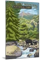 Leconte Creek and Mt. Leconte - Great Smoky Mountains National Park, TN-Lantern Press-Mounted Art Print