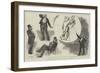 Lecture by Mr Harry Furniss on The Humours of Parliament-William Douglas Almond-Framed Giclee Print