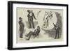Lecture by Mr Harry Furniss on The Humours of Parliament-William Douglas Almond-Framed Giclee Print