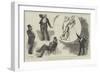 Lecture by Mr Harry Furniss on The Humours of Parliament-William Douglas Almond-Framed Giclee Print