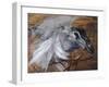 Leda and Swan-Giovanni Boldini-Framed Giclee Print