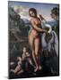 Leda and the Swan by Leonardo da Vinci-Leonardo da Vinci-Mounted Giclee Print