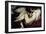 Leda and the Swan-Peter Paul Rubens-Framed Giclee Print