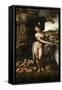 Leda and the Swan-Francesco Melzi-Framed Stretched Canvas