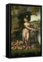Leda and the Swan-Francesco Melzi Or Melzo-Framed Stretched Canvas