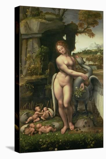 Leda and the Swan-Francesco Melzi Or Melzo-Stretched Canvas