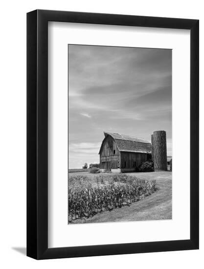Photographic Print, , large