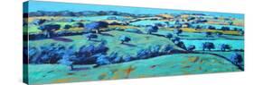 Ledbury (acrylic on board, 2021)-Paul Powis-Stretched Canvas