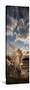 Ledge Geyser Yellowstone N P-Steve Gadomski-Stretched Canvas