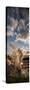 Ledge Geyser Yellowstone N P-Steve Gadomski-Stretched Canvas