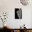 Ledra Aurita (Eared Leaf-Hopper)-Paul Starosta-Photographic Print displayed on a wall