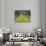 Ledson Winery, Sonoma Valley, California, USA-Julie Eggers-Photographic Print displayed on a wall