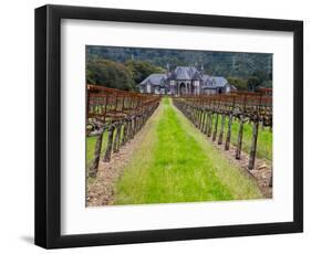 Ledson Winery, Sonoma Valley, California, USA-Julie Eggers-Framed Photographic Print