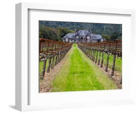 Ledson Winery, Sonoma Valley, California, USA-Julie Eggers-Framed Photographic Print