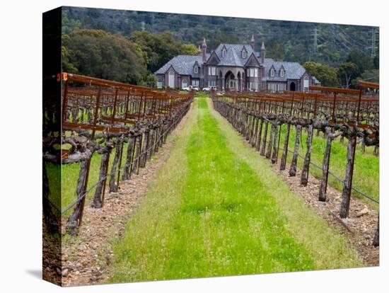 Ledson Winery, Sonoma Valley, California, USA-Julie Eggers-Stretched Canvas