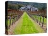 Ledson Winery, Sonoma Valley, California, USA-Julie Eggers-Stretched Canvas