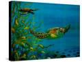 Stretched Canvas