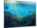 Stretched Canvas