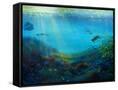 Canvas Black