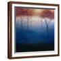 Brown Frame
