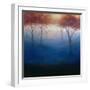 White Frame