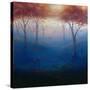 Stretched Canvas