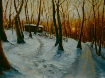 Snowy Woods 2002