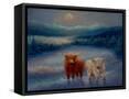 Framed Canvas