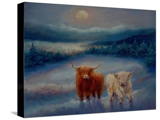 Stretched Canvas Print, , large