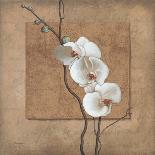 Golden Orchid II-Lee Carlson-Art Print