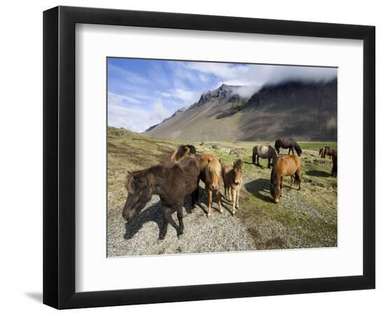 Premium Photographic Print, , large