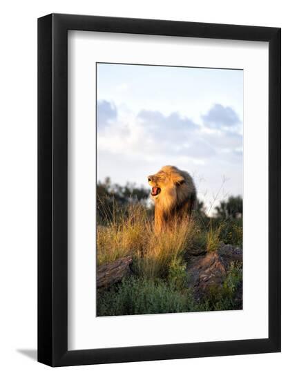 Photographic Print, , large