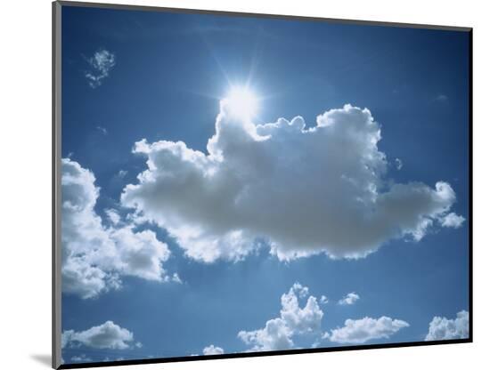 Photographic Print, , large