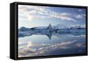 Framed Canvas