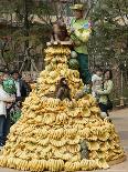 Playful Orangutans, Seoul, South Korea, c.2007-Lee Jin-man-Framed Photographic Print