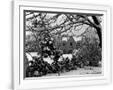 Gramercy White