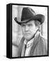 Lee Majors, The Fall Guy (1981)-null-Framed Stretched Canvas
