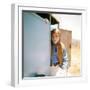 Lee Majors-null-Framed Photo