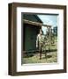 Lee Marvin-null-Framed Photo