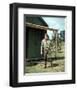 Lee Marvin-null-Framed Photo