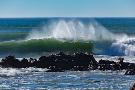 Just the Print