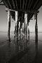 Just the Print
