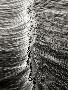 Laminate